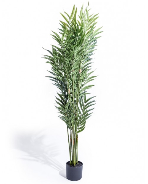 Dirbtinis augalas "Bamboo Plam 2" Dirbtinis augalas "Bamboo Plam 2"
